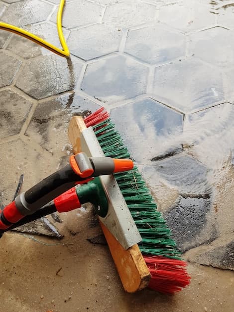 Baureinigung in Emmen - zweites Artikelbild mit Fokus auf Reinigungssituation vor Ort