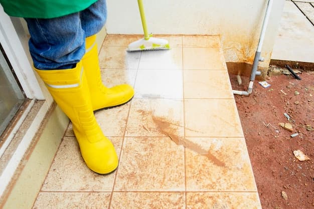 Baureinigung im Kanton Jura - zweites Artikelbild mit Fokus auf Reinigungssituation vor Ort