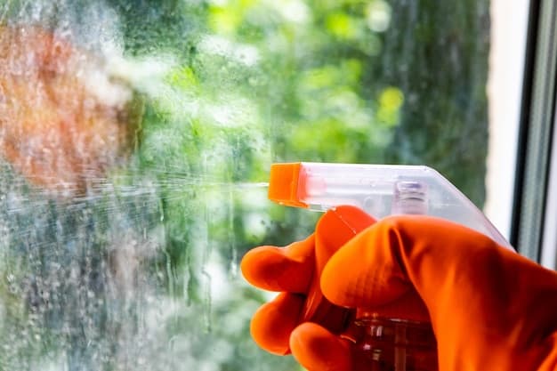 Fensterreinigung in Interlaken - professionelles Artikelbild zu Reinigungsarbeiten