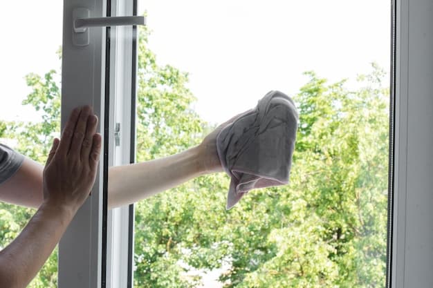 Fensterreinigung im Kanton Schaffhausen - zweites Artikelbild mit Fokus auf Reinigungssituation vor Ort