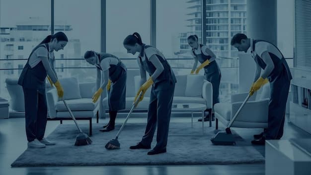 Reinigungsfirma in Chiasso - zweites Artikelbild mit Fokus auf Reinigungssituation vor Ort