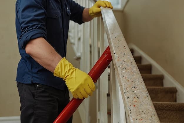 Treppenreinigung in Gambarogno - zweites Artikelbild mit Fokus auf Reinigungssituation vor Ort