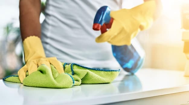 Unterhaltsreinigung im Kanton Thurgau - zweites Artikelbild mit Fokus auf Reinigungssituation vor Ort