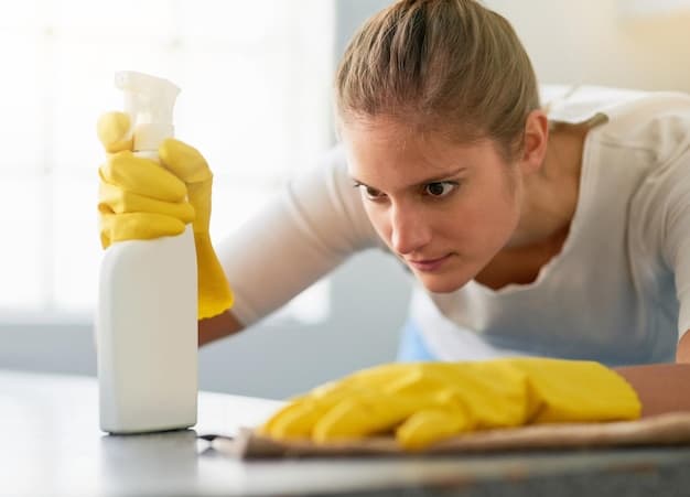 Wohnungsreinigung im Kanton Luzern - professionelles Artikelbild zu Reinigungsarbeiten