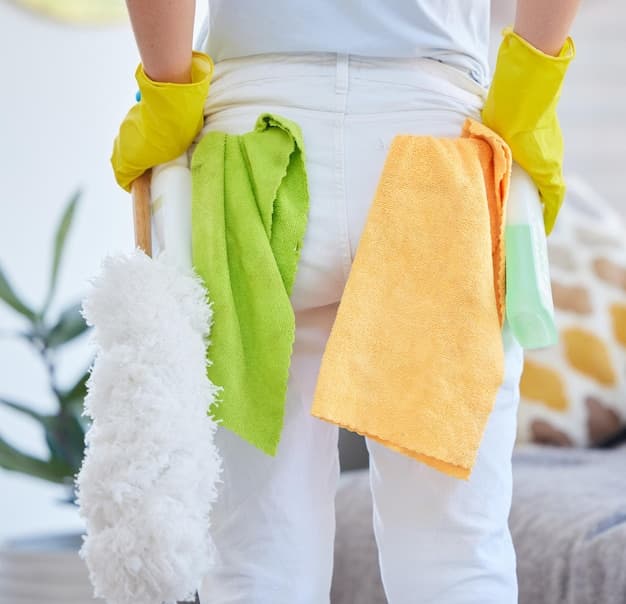 Wohnungsreinigung in Balsthal - professionelles Artikelbild zu Reinigungsarbeiten