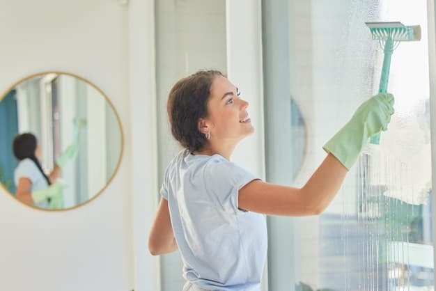 Wohnungsreinigung im Kanton Solothurn - professionelles Artikelbild zu Reinigungsarbeiten