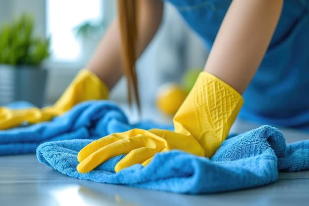 Wohnungsreinigung in Kloten - zweites Artikelbild mit Fokus auf Reinigungssituation vor Ort