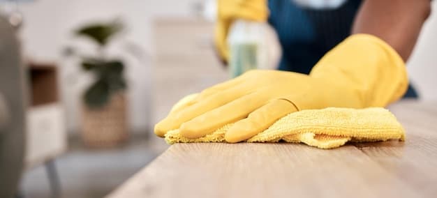 Wohnungsreinigung in Opfikon - zweites Artikelbild mit Fokus auf Reinigungssituation vor Ort