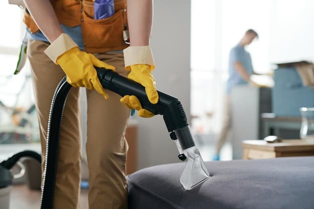Wohnungsreinigung in Wädenswil - professionelles Artikelbild zu Reinigungsarbeiten