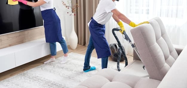 Wohnungsreinigung in Wallisellen - zweites Artikelbild mit Fokus auf Reinigungssituation vor Ort