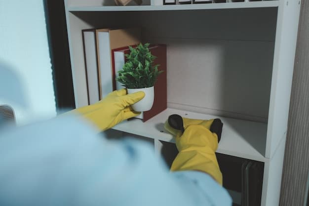 Wohnungsreinigung mit Abgabegarantie im Kanton Fribourg - zweites Artikelbild mit Fokus auf Reinigungssituation vor Ort