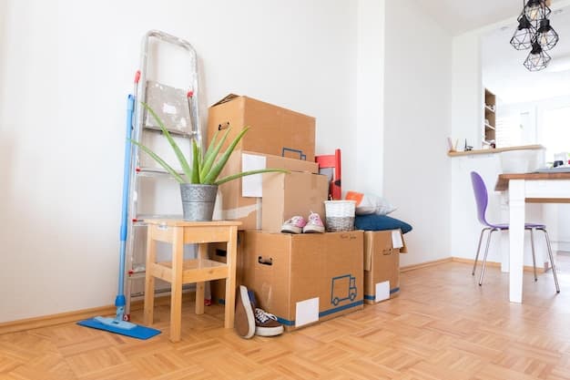 Wohnungsreinigung mit Abgabegarantie im Kanton Solothurn - zweites Artikelbild mit Fokus auf Reinigungssituation vor Ort